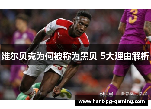 维尔贝克为何被称为黑贝 5大理由解析 维尔贝克为何被称为黑贝 5大理由解析