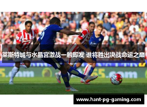 莱斯特城与水晶宫激战一触即发 谁将胜出决战命运之巅 莱斯特城与水晶宫激战一触即发 谁将胜出决战命运之巅