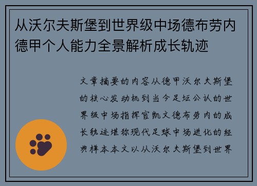 从沃尔夫斯堡到世界级中场德布劳内德甲个人能力全景解析成长轨迹