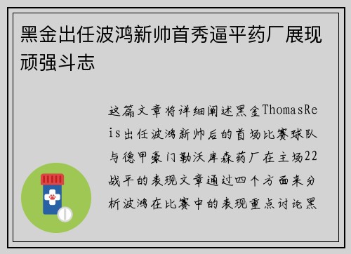 黑金出任波鸿新帅首秀逼平药厂展现顽强斗志 黑金出任波鸿新帅首秀逼平药厂展现顽强斗志